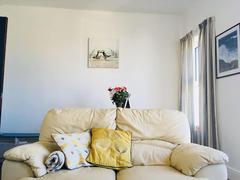Hillcrest Cottage, Comfy Flat, Trendy Uplands Area Суонси Экстерьер фото